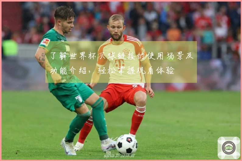 了解世界杯买球链接的使用场景及功能介绍，轻松掌握观看体验