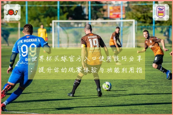 世界杯买球官方入口使用技巧分享:提升你的观赛体验与功能利用指南