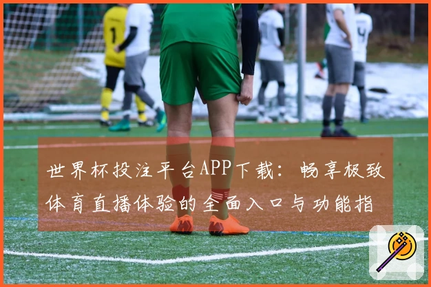 世界杯投注平台APP下载：畅享极致体育直播体验的全面入口与功能指南