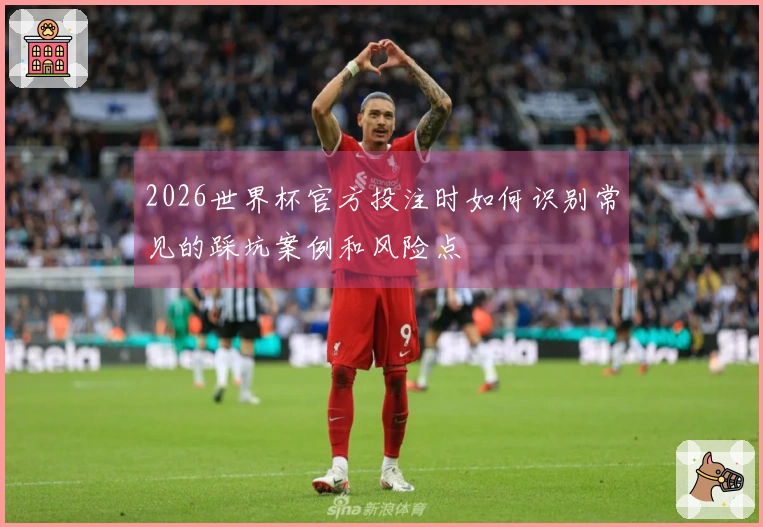 2026世界杯官方投注时如何识别常见的踩坑案例和风险点