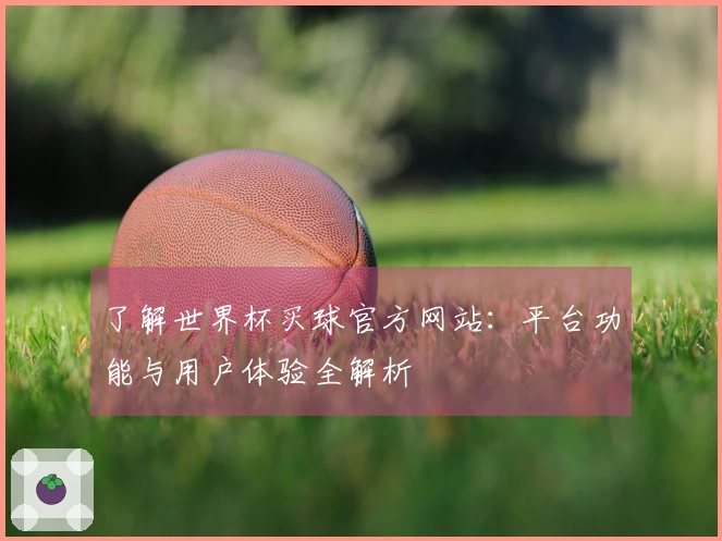 了解世界杯买球官方网站:平台功能与用户体验全解析