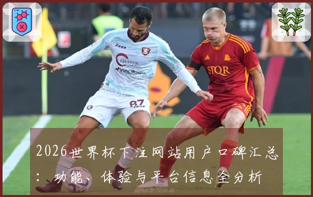 2026世界杯下注网站用户口碑汇总：功能、体验与平台信息全分析