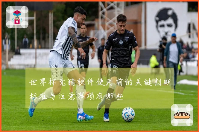 世界杯竞猜软件使用前的关键判断标准与注意事项有哪些