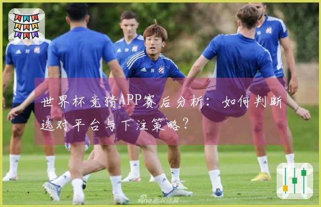 世界杯竞猜APP赛后分析：如何判断选对平台与下注策略？