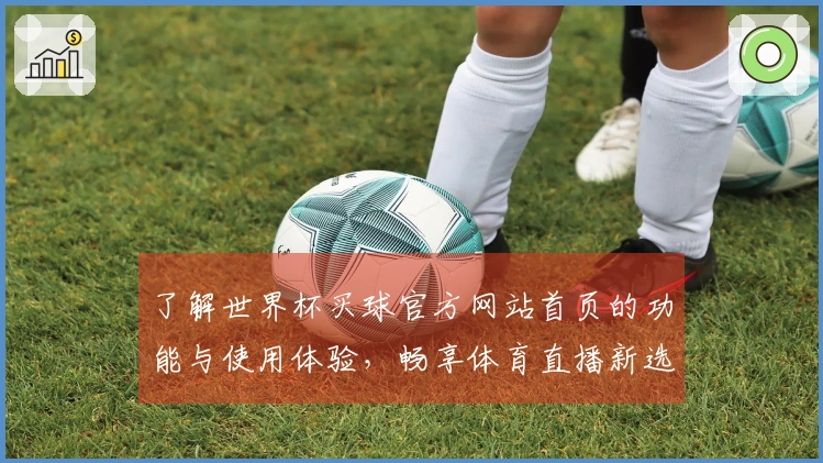 了解世界杯买球官方网站首页的功能与使用体验，畅享体育直播新选择