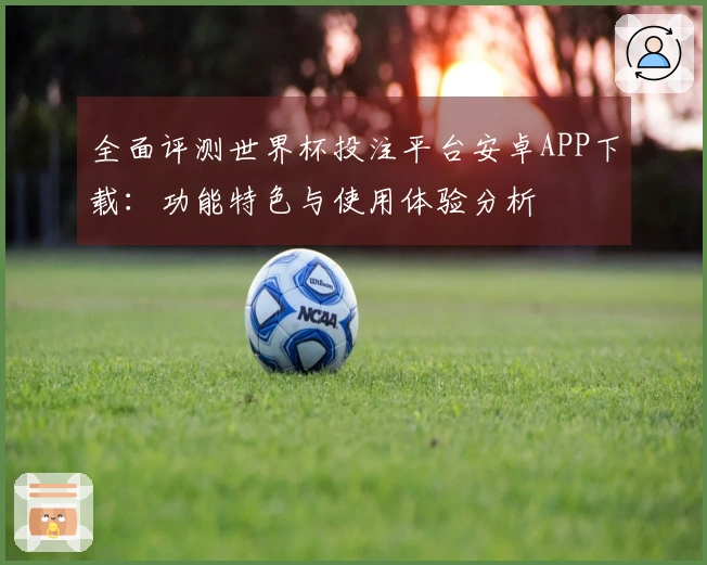 全面评测世界杯投注平台安卓APP下载：功能特色与使用体验分析