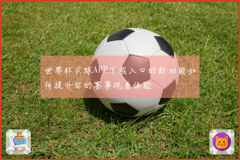 世界杯买球APP下载入口的新功能如何提升你的赛事观看体验